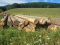 img-20260721-wa0016.jpg