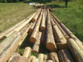 img-20260721-wa0012.jpg