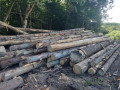 img-20260721-wa0031.jpg