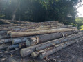 img-20260721-wa0040.jpg