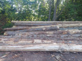 img-20260721-wa0038.jpg