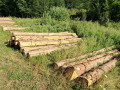 img-20260724-wa0011.jpg