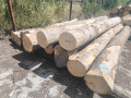 img-20260728-wa0000.jpg