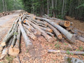 img-20260828-wa0018.jpg