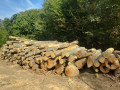 img-20260828-wa0026.jpg
