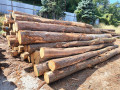 img-20260901-wa0001.jpg