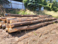 img-20260901-wa0005.jpg
