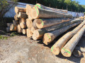img-20260901-wa0011.jpg