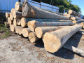 img-20260901-wa0010.jpg
