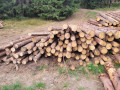 3_vlaknina_2.jpg