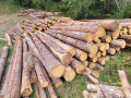 12_vlaknina_2.jpg