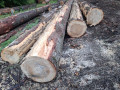 img-20260904-wa0005.jpg