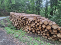 img-20260904-wa0003.jpg