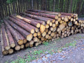 img-20260904-wa0007.jpg