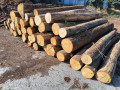 img-20260925-wa0004.jpg
