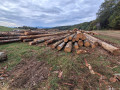 img-20260924-wa0007.jpg