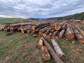 img-20260924-wa0005.jpg
