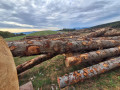 img-20260924-wa0002.jpg