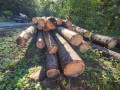 img-20260923-wa0071.jpg