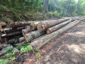 img-20260923-wa0054.jpg