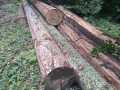 img-20260923-wa0041.jpg