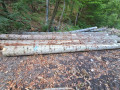 img-20260923-wa0031.jpg