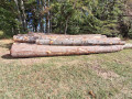 img-20260923-wa0023.jpg