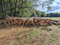 img-20260923-wa0024.jpg