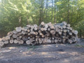 img-20260928-wa0019.jpg