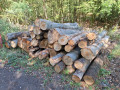 img-20260909-wa0014_1.jpg