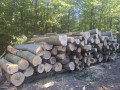 img-20260928-wa0018.jpg