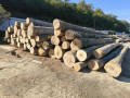 img-20261002-wa0010.jpg
