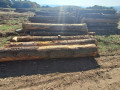 img-20261005-wa0003.jpg