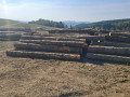 img-20261005-wa0024.jpg
