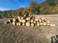 img-20261005-wa0008.jpg