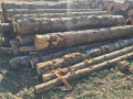 img-20261005-wa0006.jpg