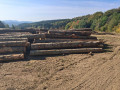 img-20261005-wa0022.jpg