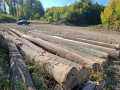 20261006_102238.jpg