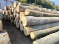 img-20261007-wa0000.jpg