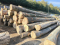 img-20261007-wa0004.jpg