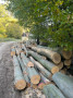 img-20261008-wa0022.jpg