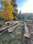 img-20261008-wa0017.jpg