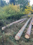 img-20261008-wa0008.jpg