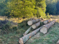img-20261008-wa0005.jpg