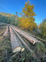 img-20261008-wa0012.jpg