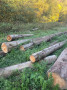 img-20261008-wa0010.jpg