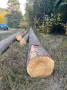 img-20261008-wa0011.jpg