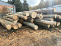 img-20261026-wa0010.jpg