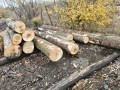 img-20261026-wa0015.jpg