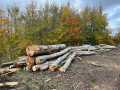img-20261028-wa0009.jpg